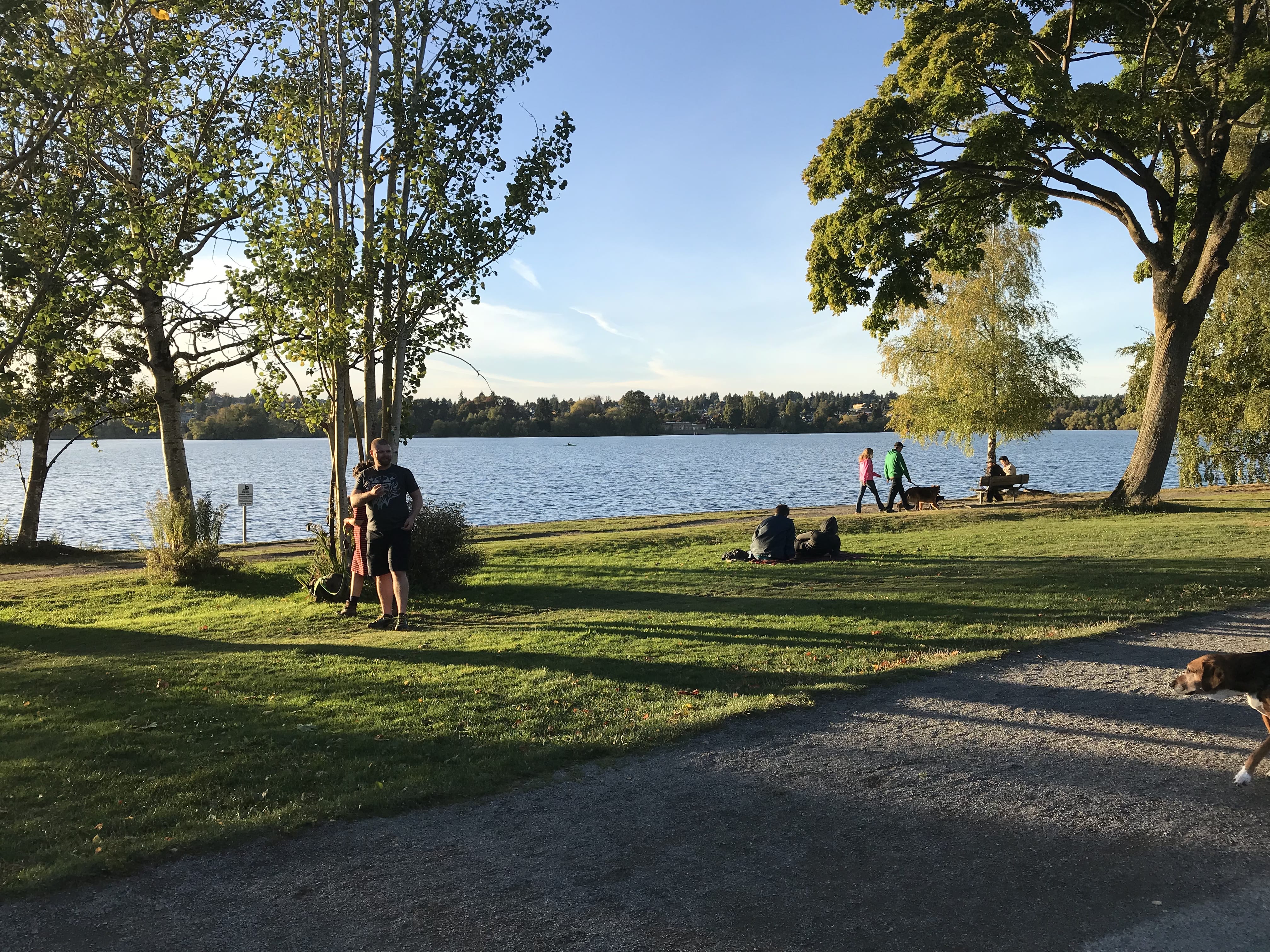 mommy mental overload mommy mental overload