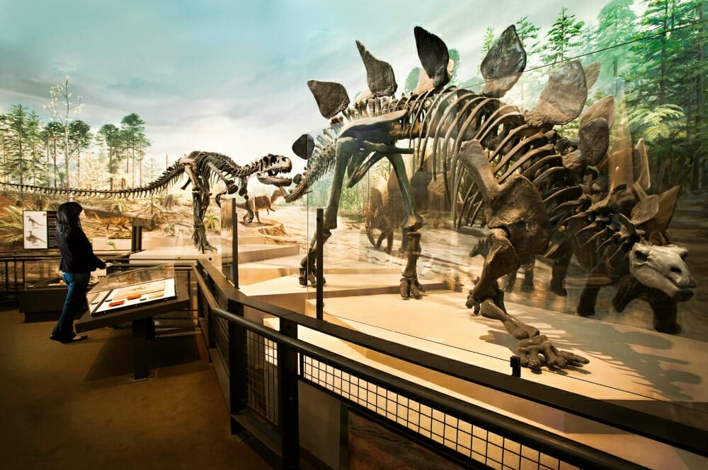 seattle area museums seattle area museums