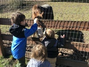 kelsey creek farm