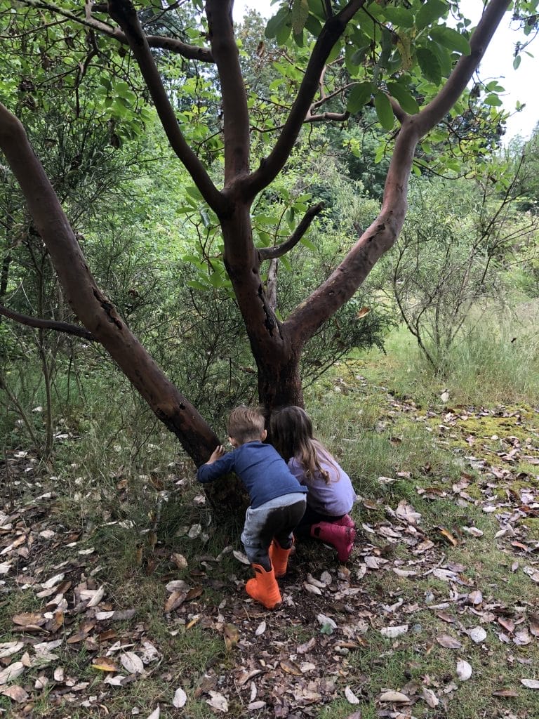boeing creek boeing creek