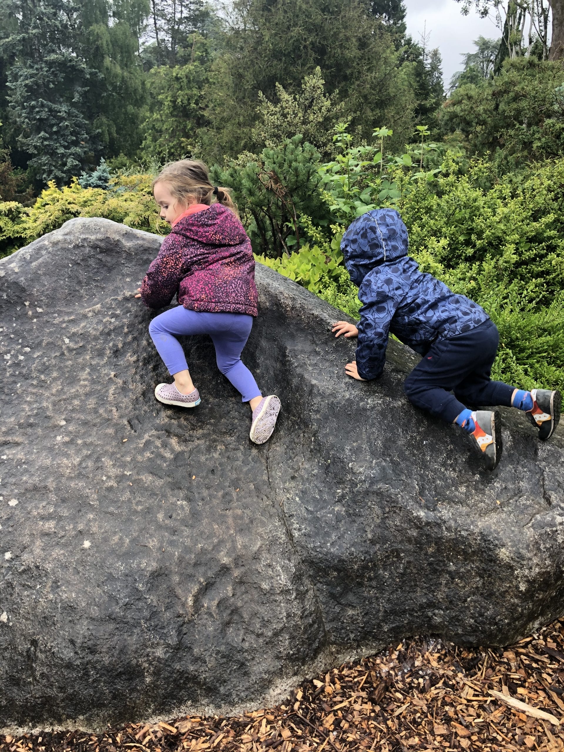 kubota garden foundation